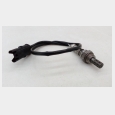 SONDA LAMBDA (1) (CON DESPERFECTO EN FICHE ELECTRICA) BMW F 800 ST (K71) 5