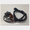 ALTERNADOR (1) HONDA PCX 125 '10/'14 (JF28 Y JF47) 3