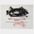 INSTALACION ELECTRICA (1) HONDA CBR 600 F4 I.E. '01/'06 (PC35)