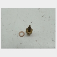 SENSOR DE TEMPERATURA (3#) YAMAHA YZF 125 R '08/'13 2