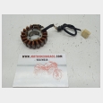 ALTERNADOR (1) YAMAHA XJ6 DIVERSION ABS '09 ( 36D1 )